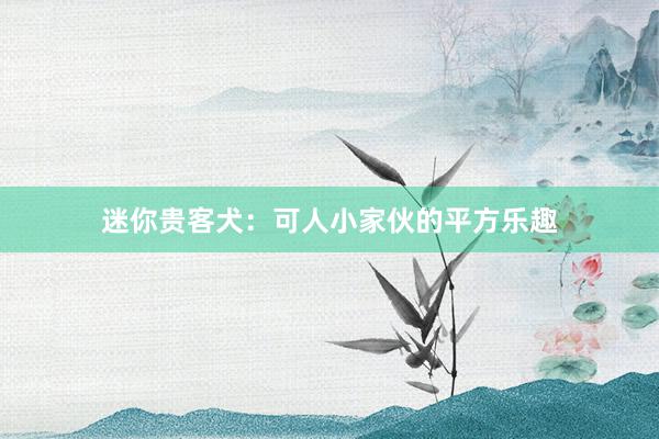 迷你贵客犬：可人小家伙的平方乐趣