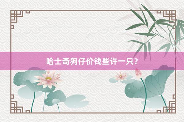 哈士奇狗仔价钱些许一只?