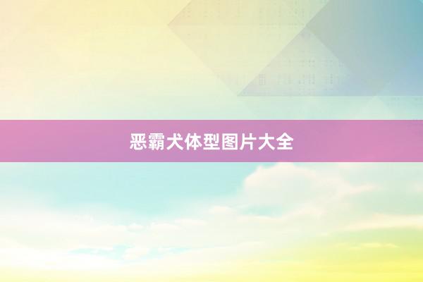恶霸犬体型图片大全